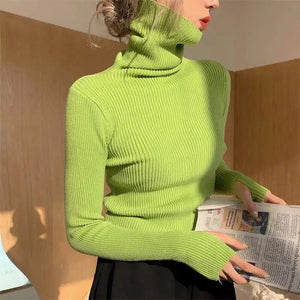 Women heaps collar Turtleneck Sweaters Autumn Winter Slim Pullover Women Basic Tops Casual Soft Knit Sweater Soft Warm Jumper