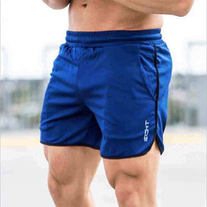 New Men Fitness Bodybuilding Shorts Man Summer  Workout Male Breathable Mesh Quick Dry Sportswear Jogger Beach Short Pants