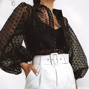 New Elegant Fashion Women OL Casual Shirt Blouse Perspective Sheer Mesh Lantern long sleeve Polka dot Button Tops Beach Blusas
