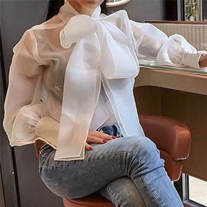 New Elegant Fashion Women OL Casual Shirt Blouse Perspective Sheer Mesh Lantern long sleeve Polka dot Button Tops Beach Blusas